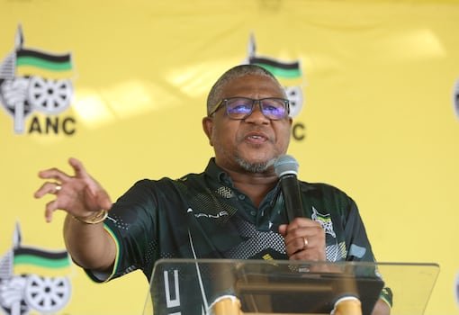“the-future-generation-will-be-the-one-to-end-the-anc,-says-fikile-mbalula”