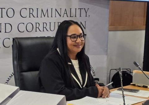 tmpd-chief-yolande-faro-firmly-denies-any-connection-to-fannie-nkosi